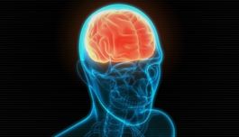 Semaglutida e menor risco de convulsões/epilepsia inicial em adultos diabéticos: um possível efeito neurológico?